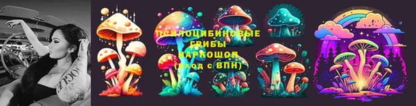 прущая мука Богородицк