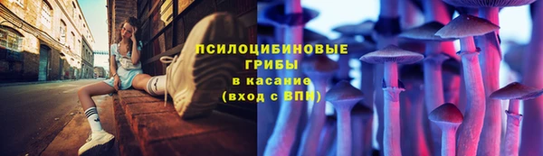 прущая мука Богородицк