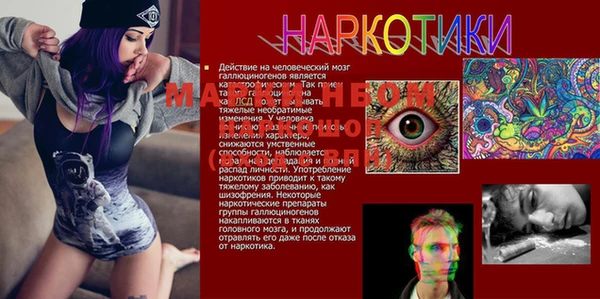 гидропоника Богородск