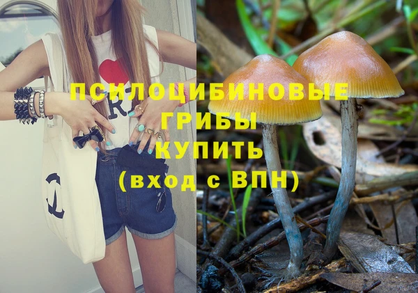 прущая мука Богородицк